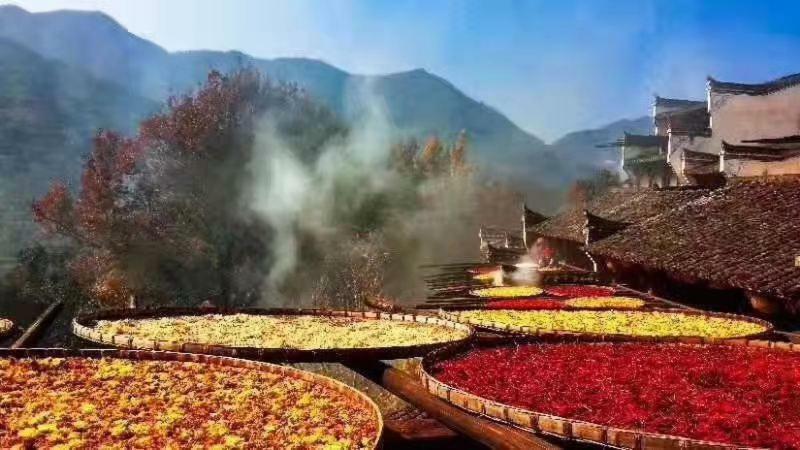 Xishan Wutong Qinyuan Huangshan Exterior foto