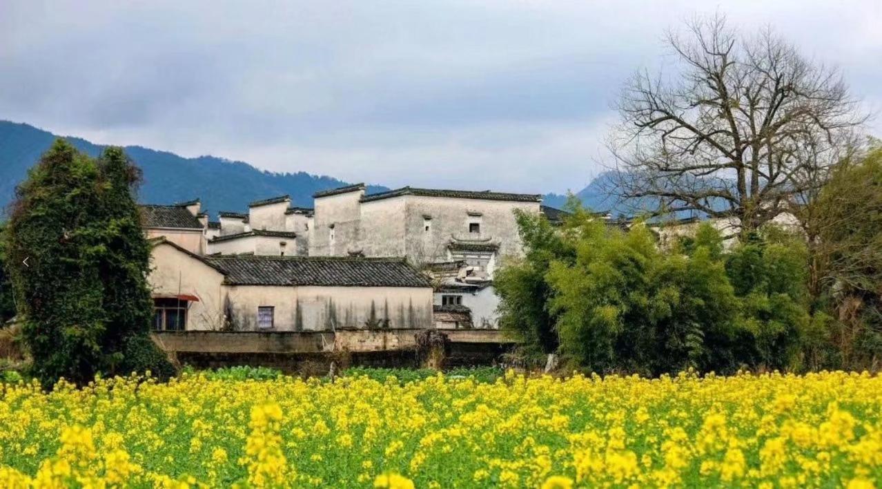 Xishan Wutong Qinyuan Huangshan Exterior foto