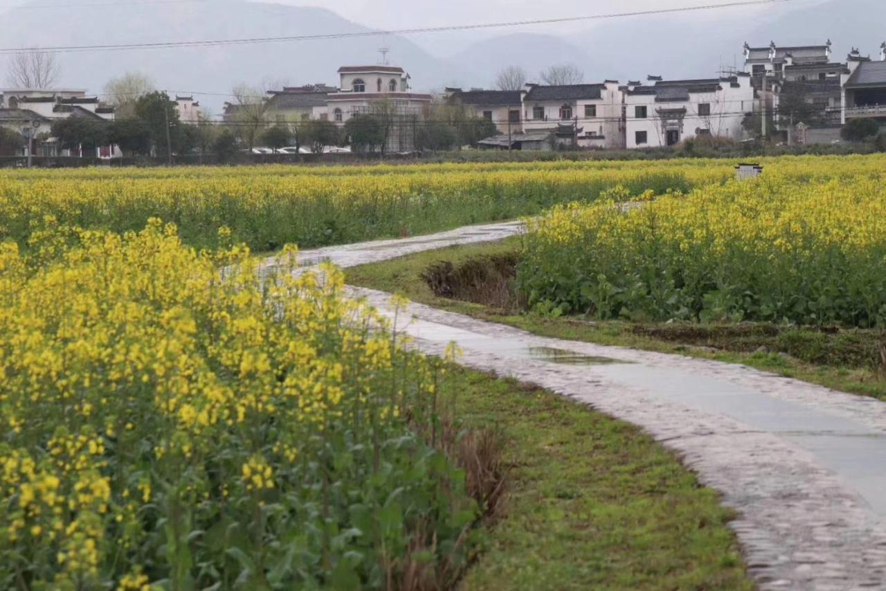 Xishan Wutong Qinyuan Huangshan Exterior foto